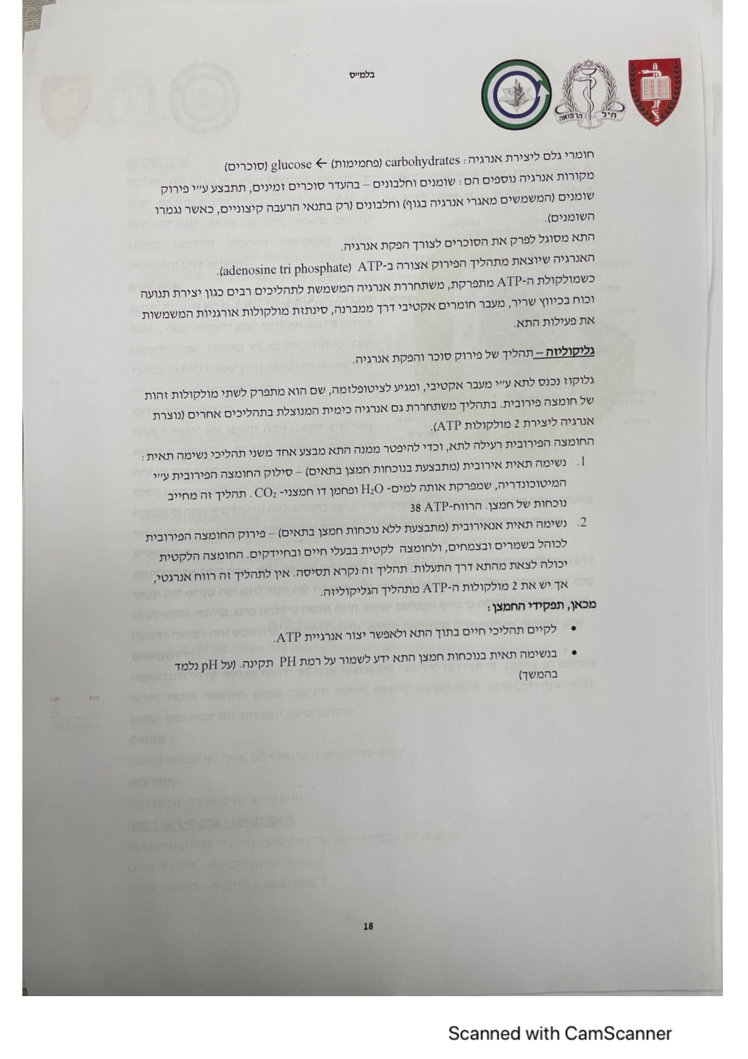 עמוד 19 מהמסמך