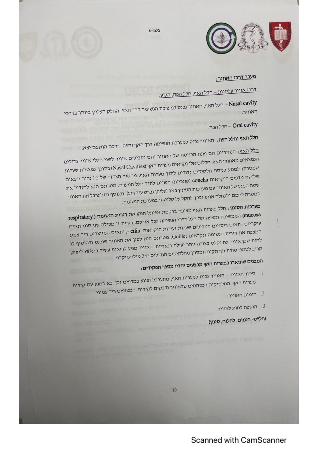 עמוד 21 מהמסמך