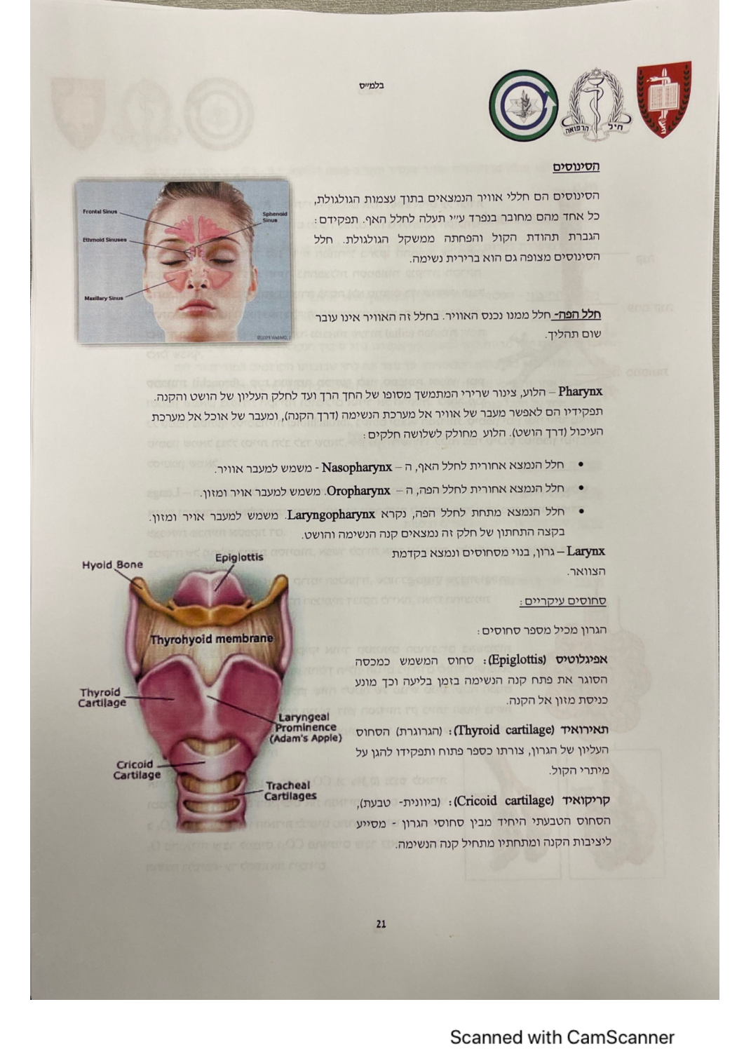 עמוד 22 מהמסמך