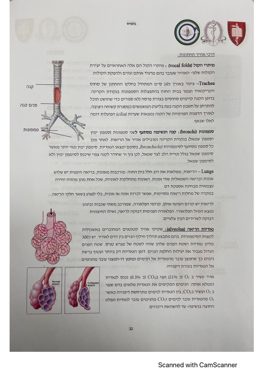 עמוד 23 מהמסמך