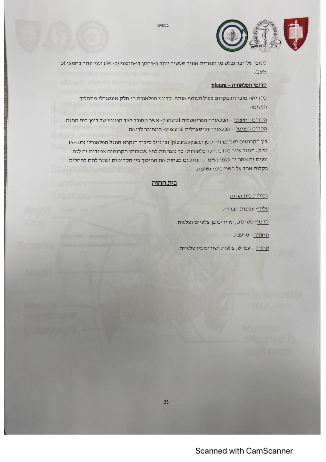 עמוד 24 מהמסמך