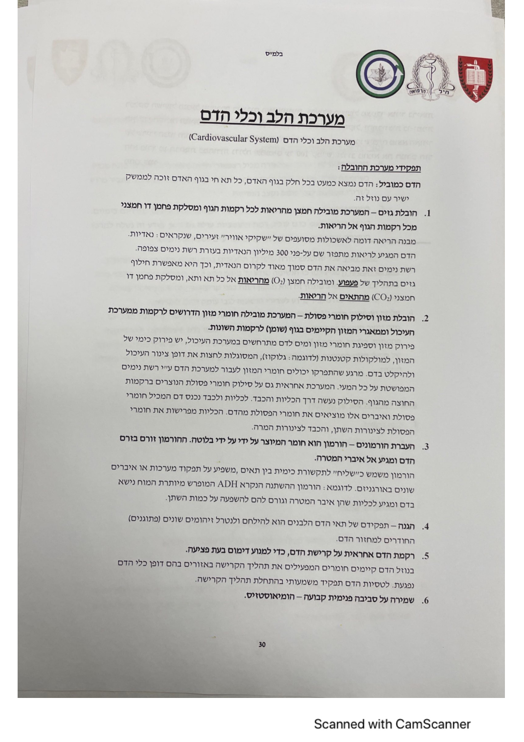 עמוד 31 מהמסמך
