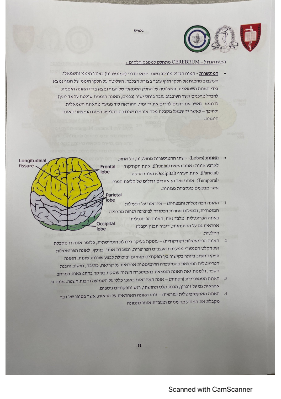 עמוד 51 מהמסמך