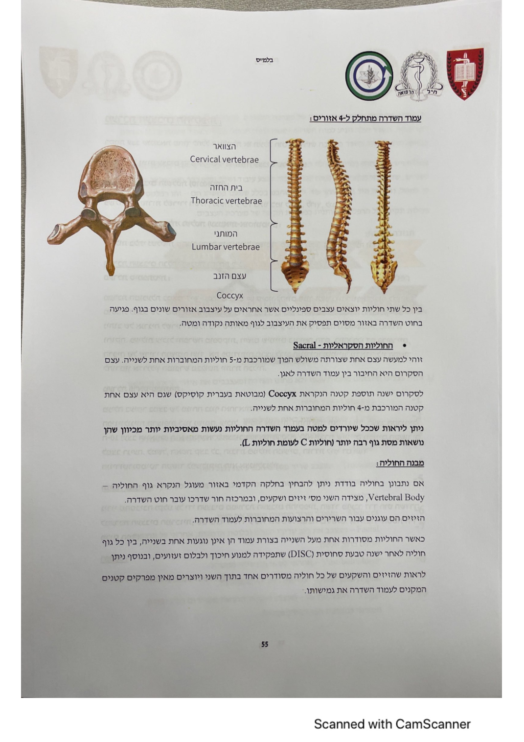עמוד 55 מהמסמך
