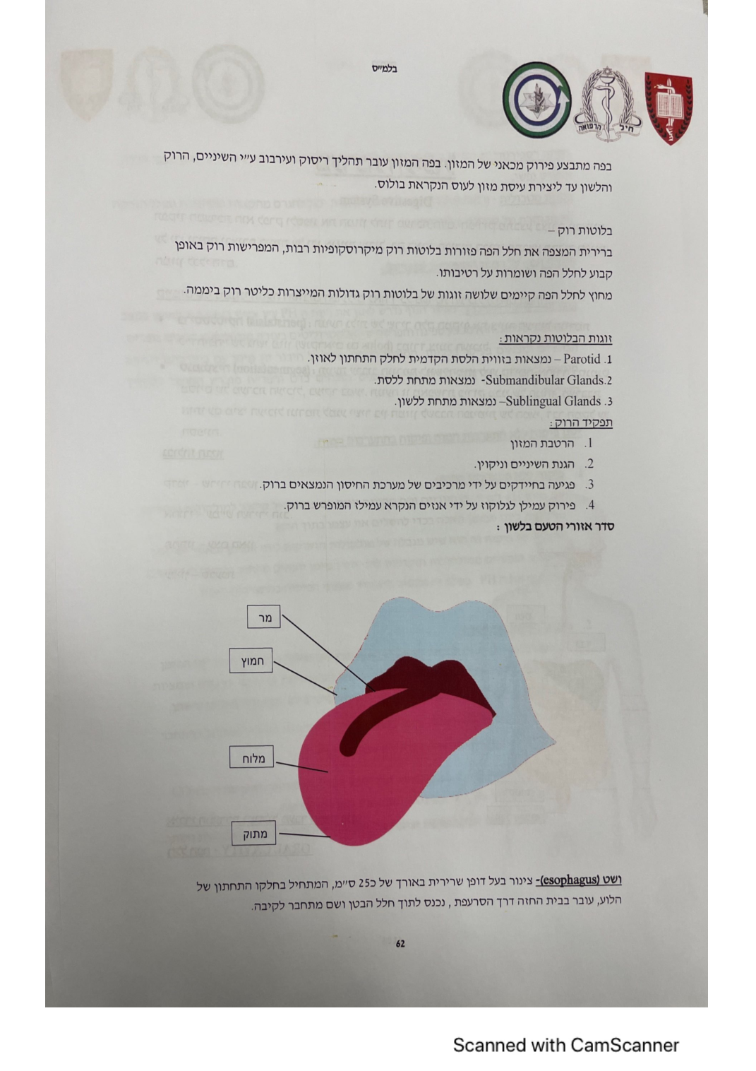 עמוד 62 מהמסמך