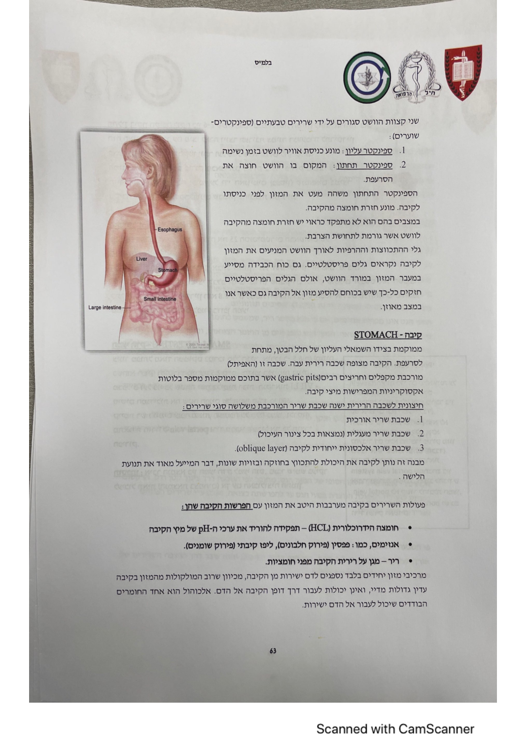 עמוד 63 מהמסמך