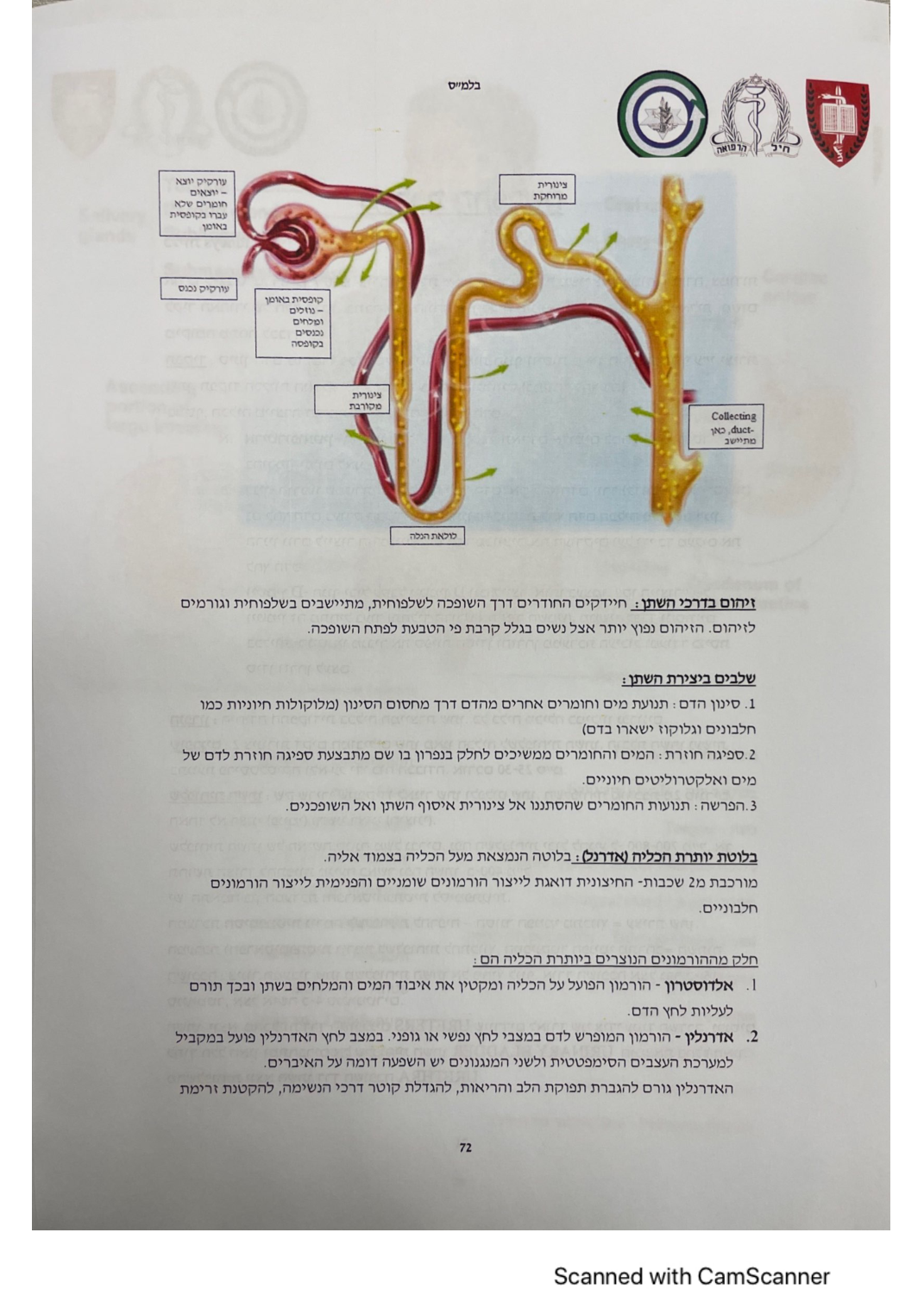 עמוד 71 מהמסמך