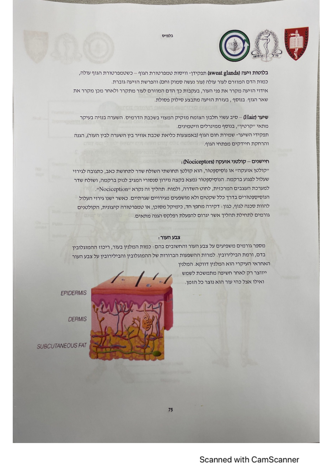עמוד 74 מהמסמך