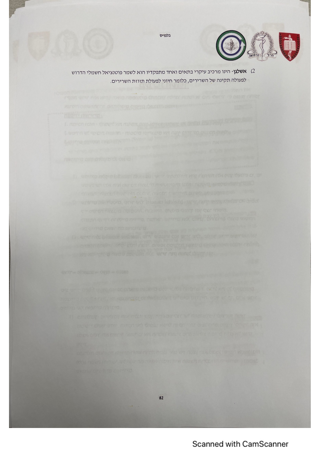 עמוד 81 מהמסמך
